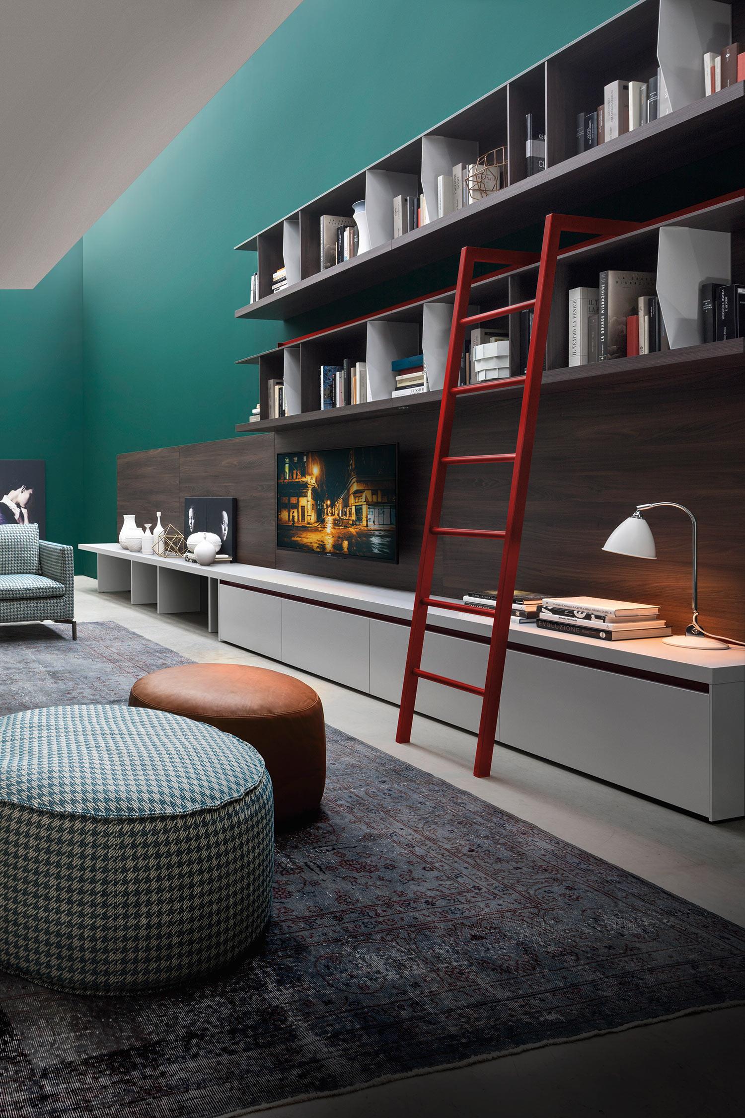 Designer Bookcase with Ladder