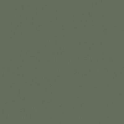 Matt green - 342 Foglia (similar to RAL6003)