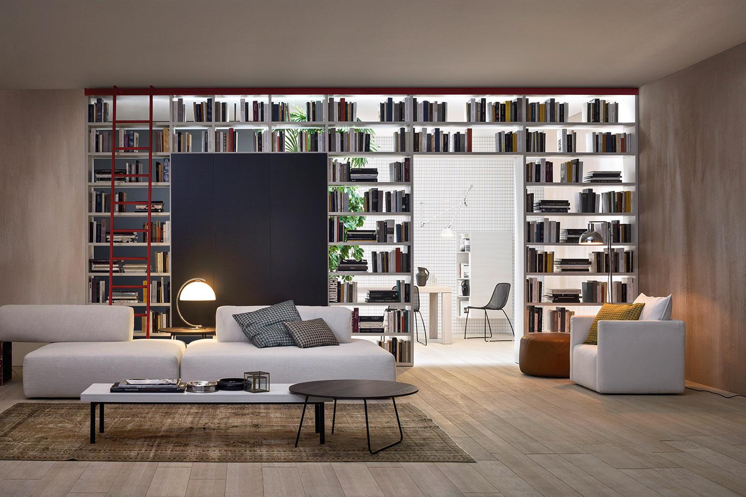 Room Divider Bookshelf with Ladder